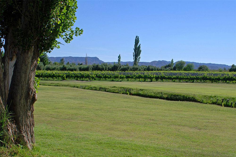 Hotel Algodon Wine Estates&Champions Club à San Rafael  Extérieur photo