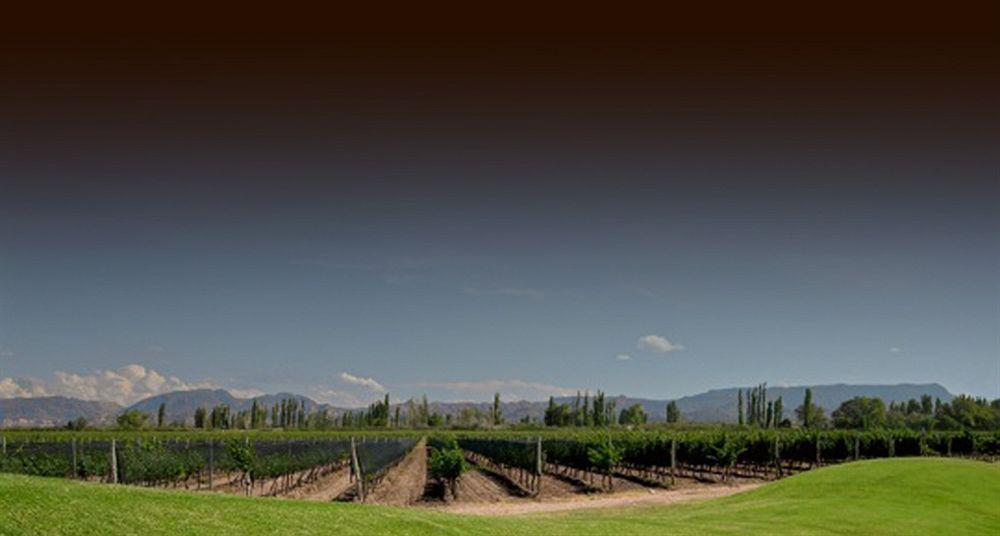 Hotel Algodon Wine Estates&Champions Club à San Rafael  Extérieur photo