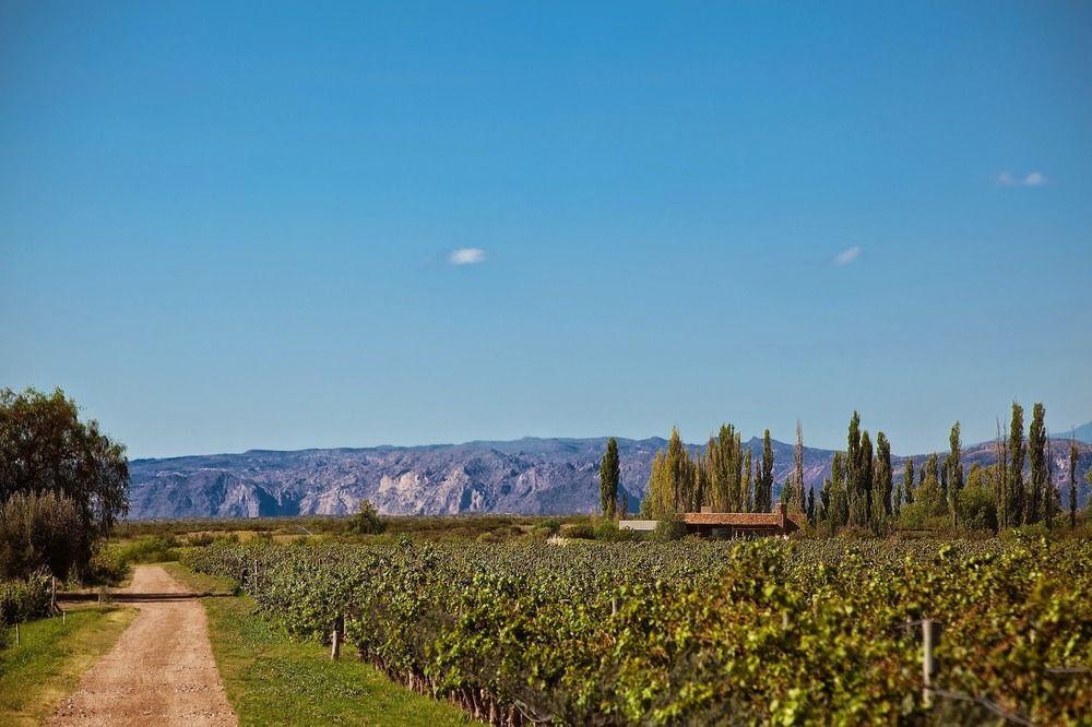 Hotel Algodon Wine Estates&Champions Club à San Rafael  Extérieur photo