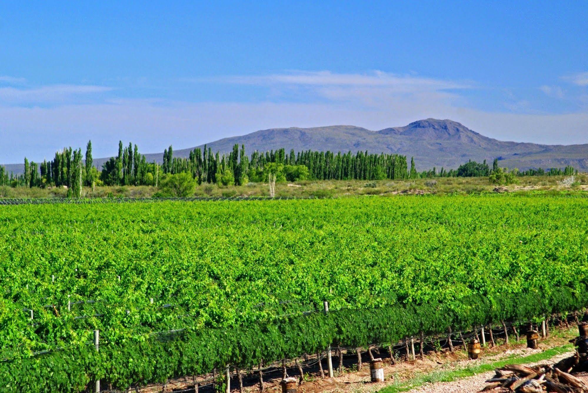 Hotel Algodon Wine Estates&Champions Club à San Rafael  Extérieur photo